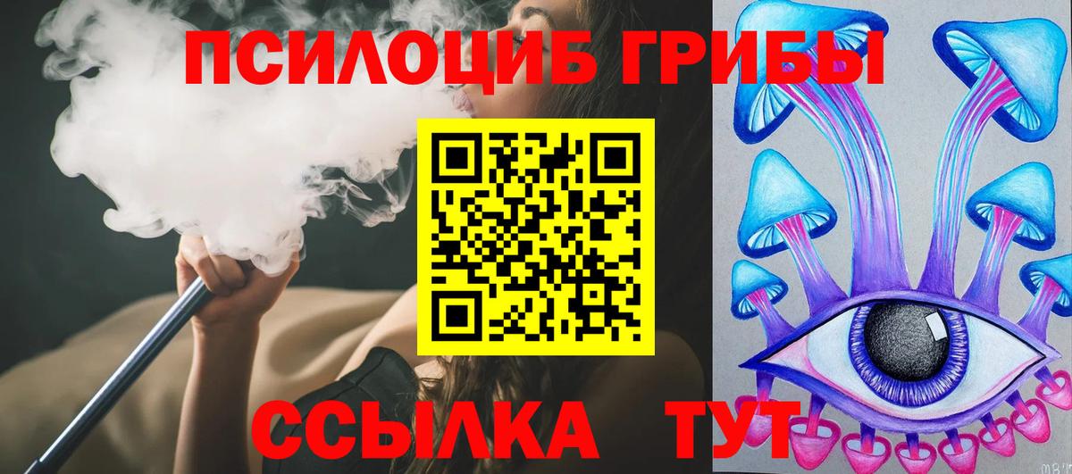 Галлюциногенные грибы Psilocybe Кимовск