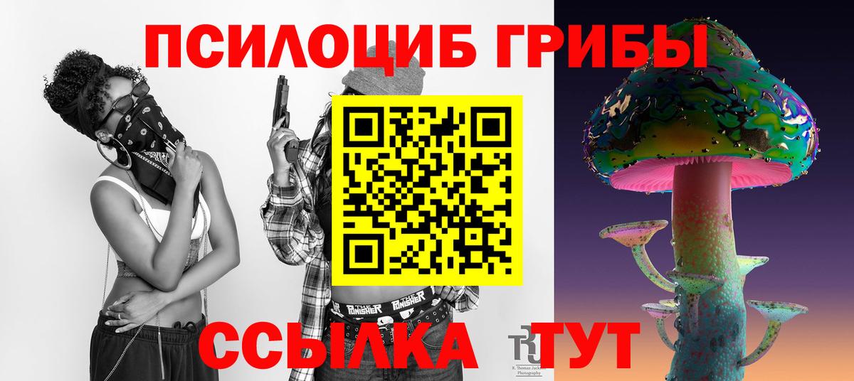 Кимовск  Галлюциногенные грибы Magic Shrooms  Вход с VPN  Галлюциногенные грибы прущие грибы 